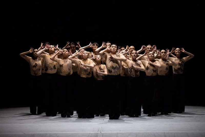 The Australian Ballet, Kunstkamer (foto Daniel Boud)