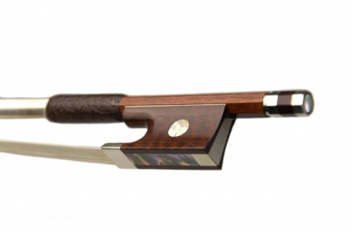 Ilustrační foto (zdroj Violin Schönbach)