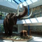Mamut, Moravské zemské muzeum (zdroj Kudyznudy.cz)