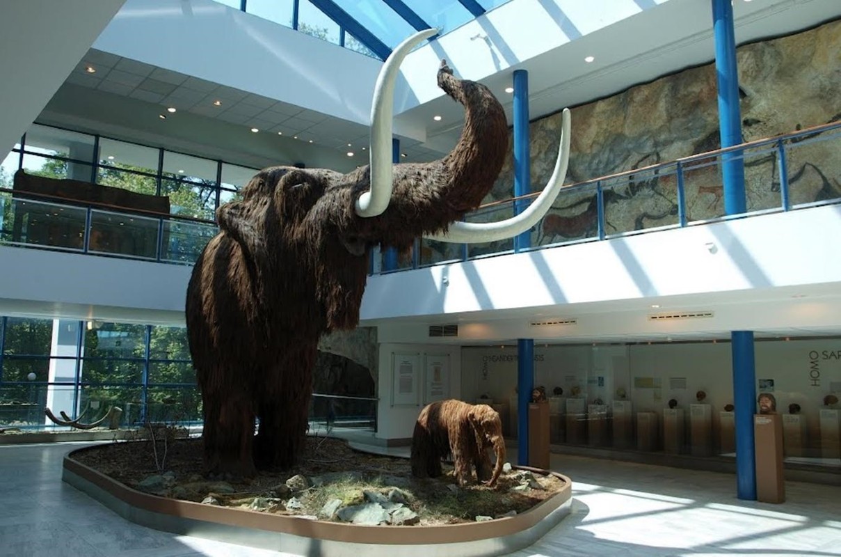 Mamut, Moravské zemské muzeum (zdroj Kudyznudy.cz)
