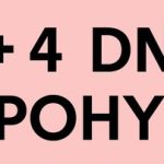 Festival 4+4 dny v pohybu - logo