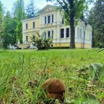 Památník Antonína Dvořáka ve Vysoké u Příbramě (zdroj Památník Antonína Dvořáka ve Vysoké u Příbramě)