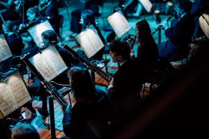 Orchestrální akademie PKF — Prague Philharmonia (zdroj PKF — Prague Philharmonia)