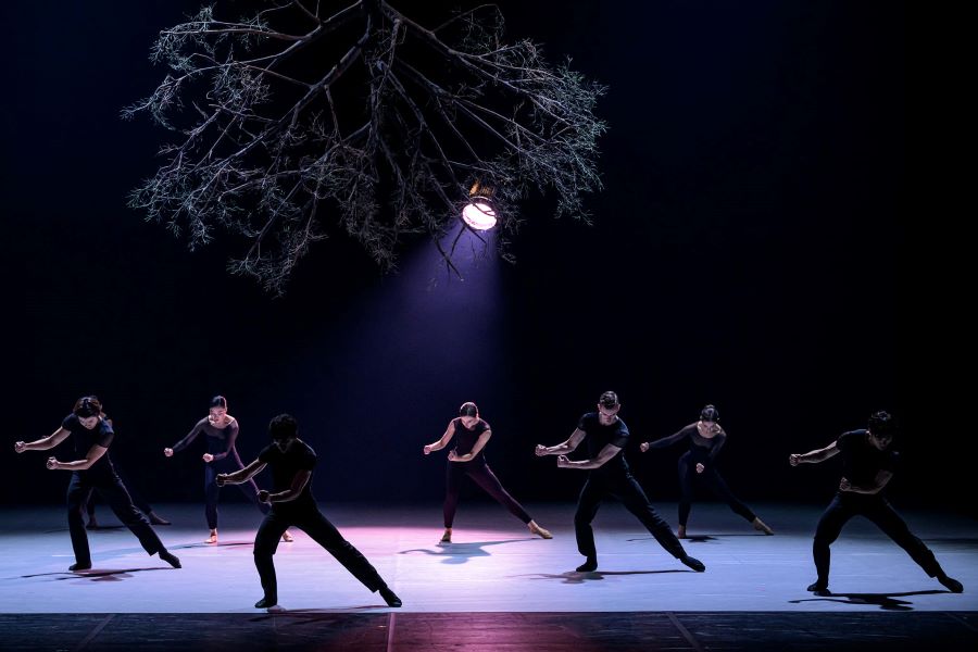 Balet NDM – Wings of Wax (inscenace ČISTÁ RADOSTance, foto Serghei Gherciu)