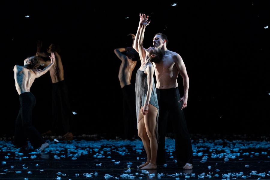 Balet SND – Murmuration (Viola Mariner, Andrej Szabo, foto Juraj Žilinčár)