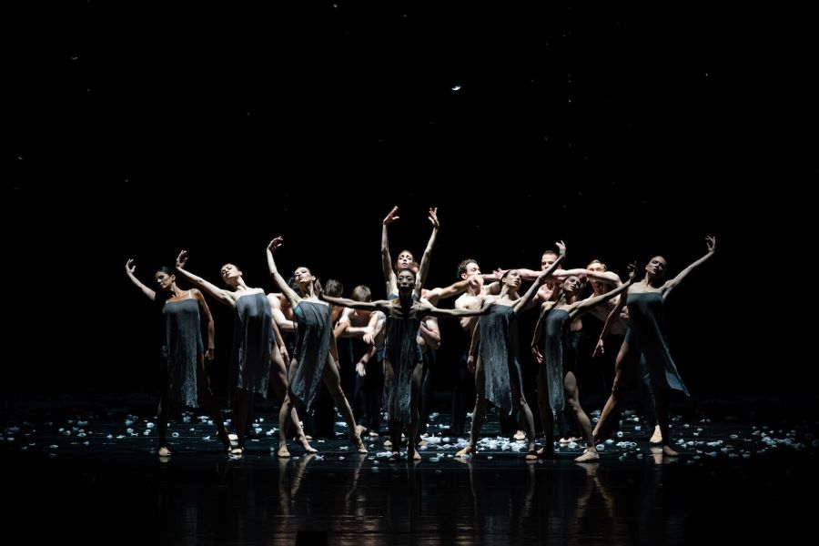 Balet SND – Murmuration (foto Juraj Žilinčár)