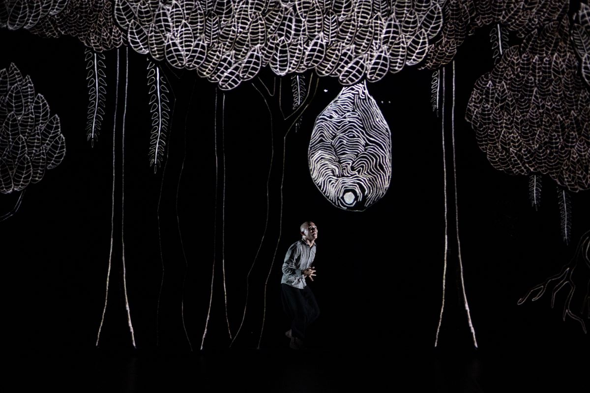 Chotto Desh (foto Adéla Vosičková, Tanec Praha 2024)