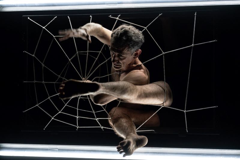 Cie Philippe Saire (Hokus pokus, foto Marek Olbrzymek, Divadelní svět Brno 2024)