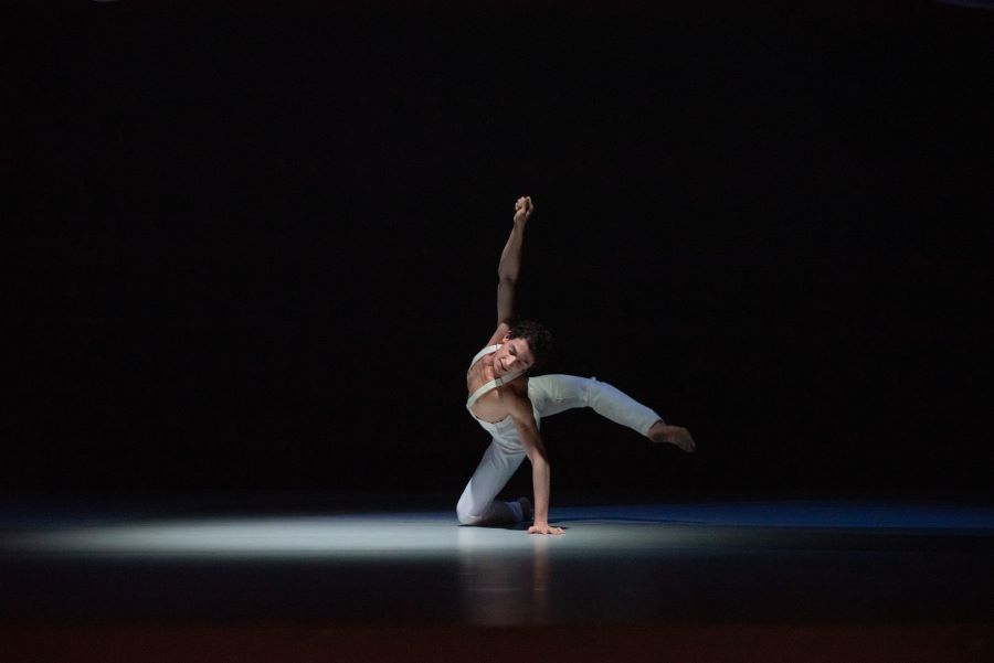 Divadlo J. K. Tyla – Špalíček (Riccardo Gregolin, foto Irena Štěrbová)