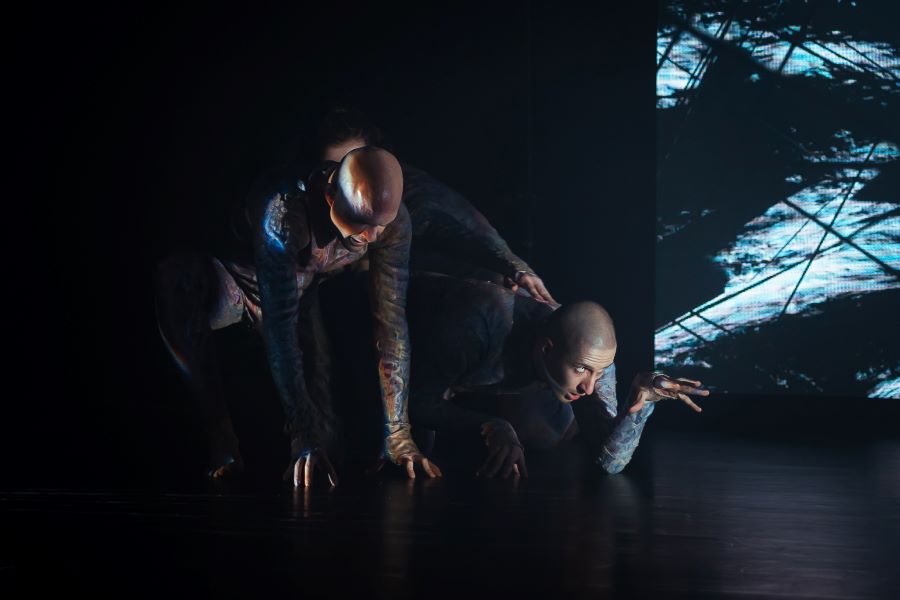 Emergency Dances V, Claude Johann Čierny, Eduard Adam Orszulik – XXX|||\ (foto Romana Kovacs)