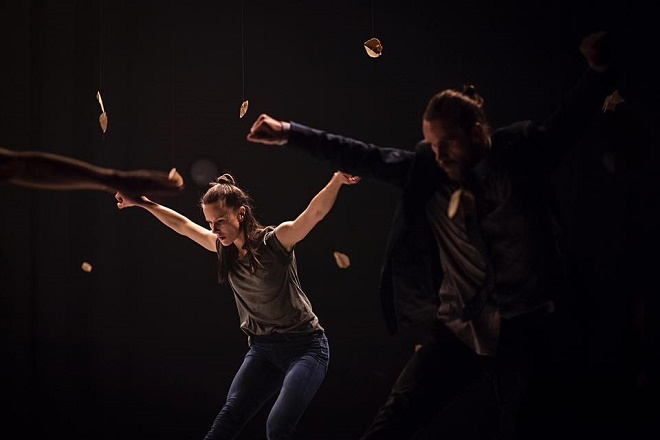 Flow - VerTeDance - Divadlo Ponec 2016 (foto Linda Průšová)