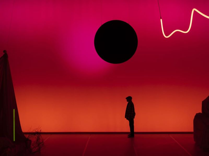 Jeremy Nedd: How a falling star lit up the purple sky (foto Philip Frowein)
