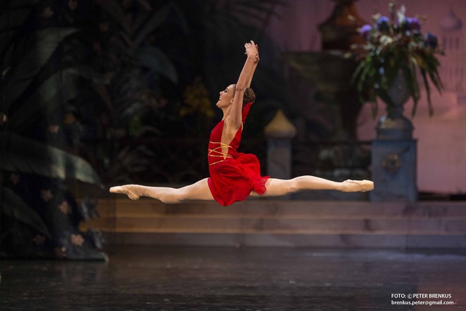 Umenie pre život - Jolanda Correa - SND Bratislava 2015 (foto SND/Peter Brenkus)