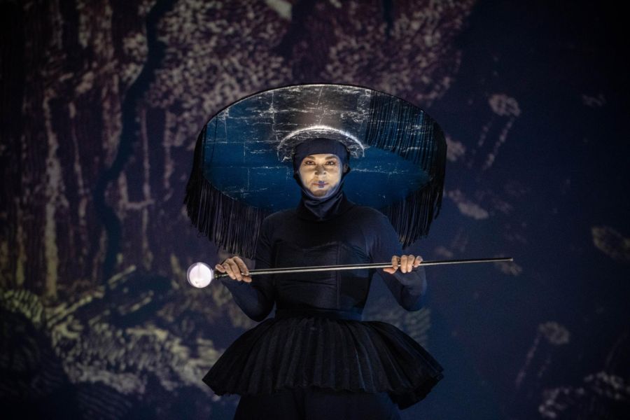 Wolfgang Amadeus Mozart: Kouzelná flétna – Jihočeské divadlo (foto Martina Root)
