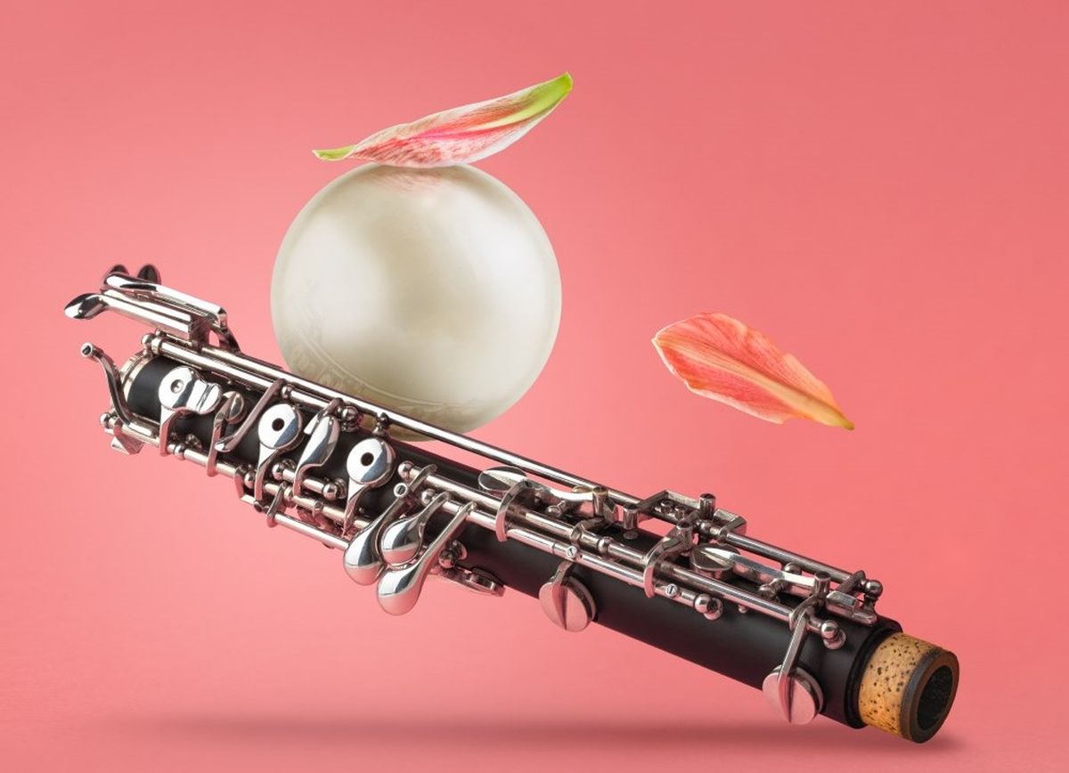 Mezinárodní hudební festival Leoše Janáčka (zdroj Mezinárodní hudební festival Leoše Janáčka)