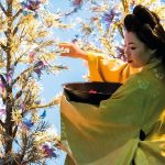 Giacomo Puccini: Madam Butterfly (zdroj Pannonia Entertainment)