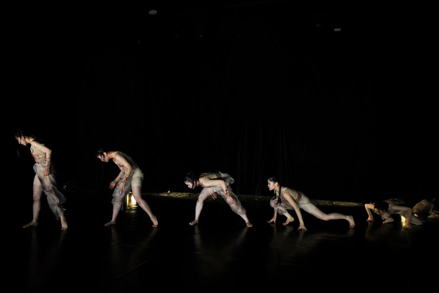 Nová generace 3. 11. 2024 2. – Afterimage (foto Michal Hančovský)