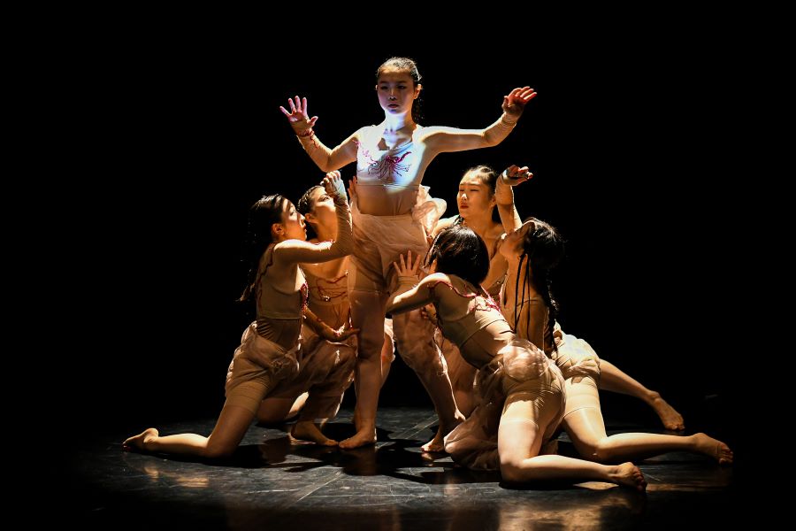 Nová generace 3. 11. 2024 2. – Afterimage (foto Michal Hančovský)