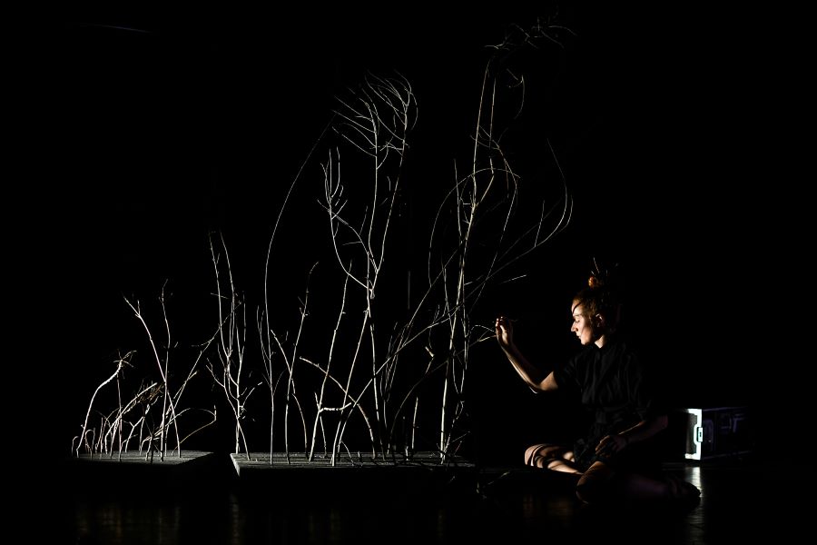 Nová generace 3. 11. 2024 4. – M.amor (foto Michal Hančovský)