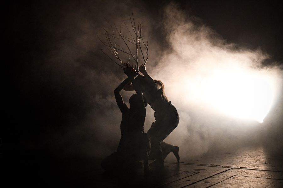 Nová generace 3. 11. 2024 4. – M.amor (foto Michal Hančovský)