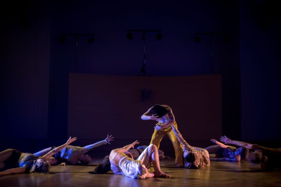 Pulsar, Kateřina Stupecká – Kmeny (foto Vojtěch Brtnický)