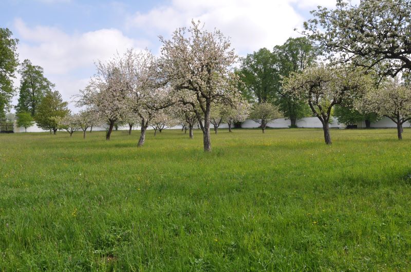 Zámek Žďár – forota (foto archiv SE.S.TA)