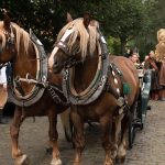 Průvod Vendelín 2022, Divadlo J. K. Tyla (foto Irena Štěrbová)