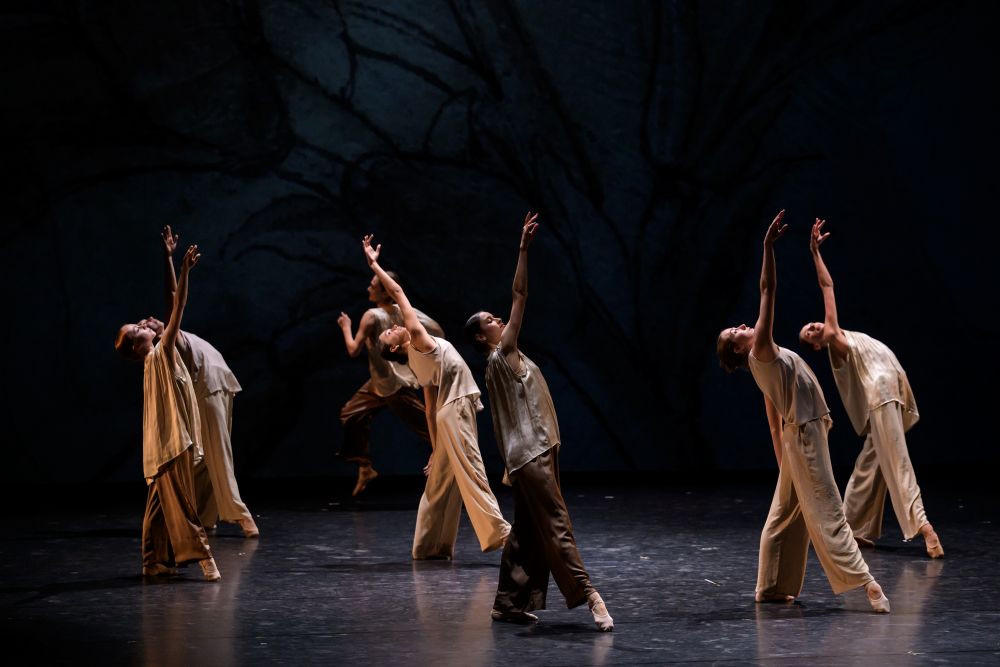 Účastníci Bubeníček Ballet Masterclass (foto Serghei Gherciu, Bubeníček International Ballet Gala)