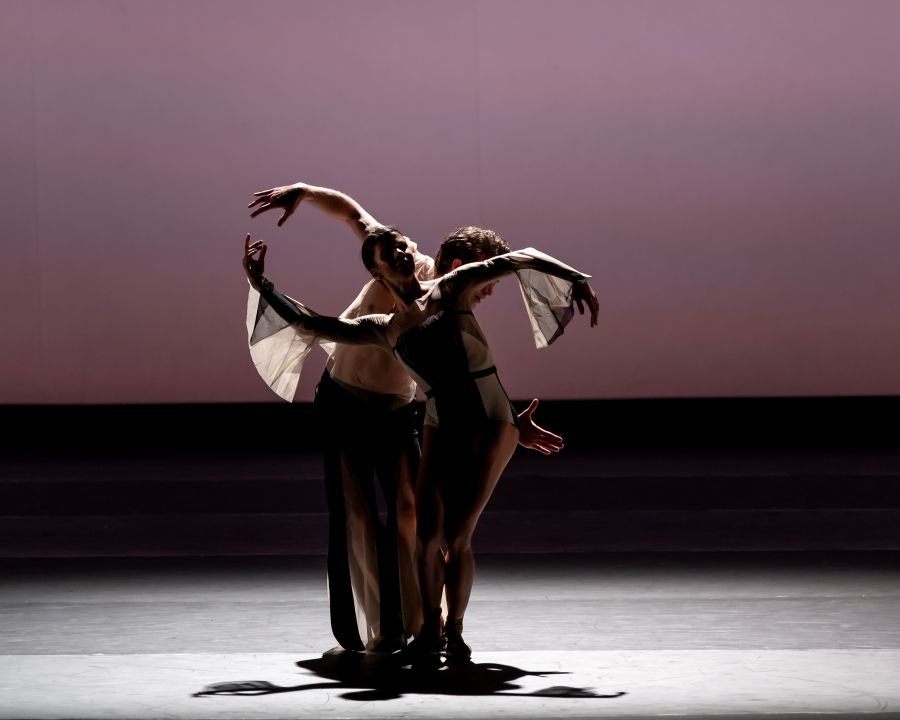 Mayara Magri a Matthew Ball (To & Fro, foto Jack Devant)
