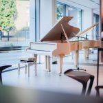 Ilustrační foto (zdroj Petrof Pianos)