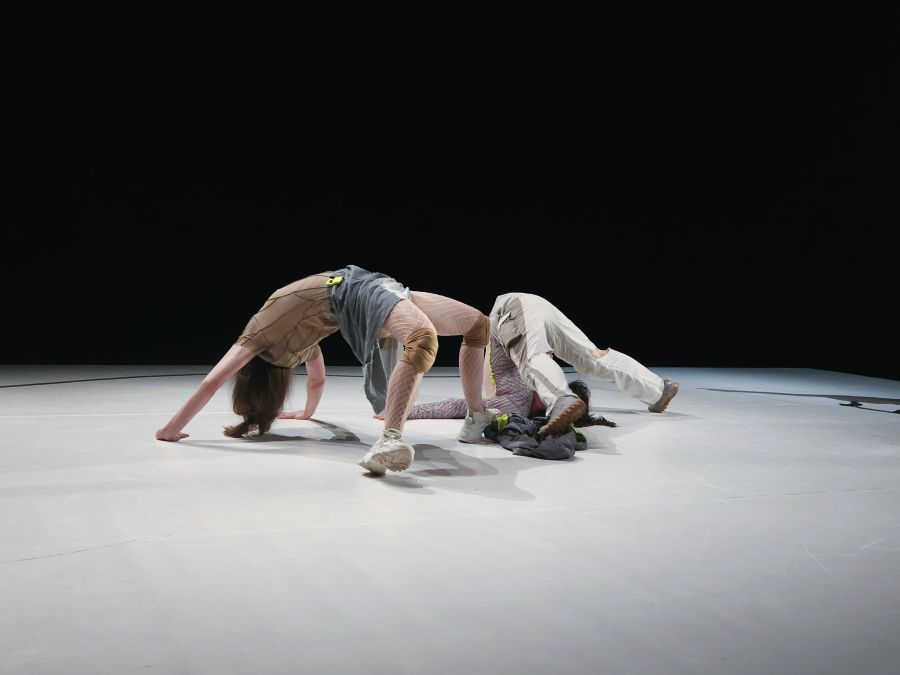 Alica Minar a Dorota Michalak – Lush Blast (foto Anna Popa)