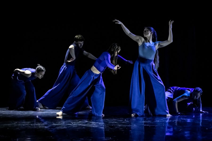 Alice Silná – Seaquence (foto Anna Benháková, Nová generace 23. 3. 2025)