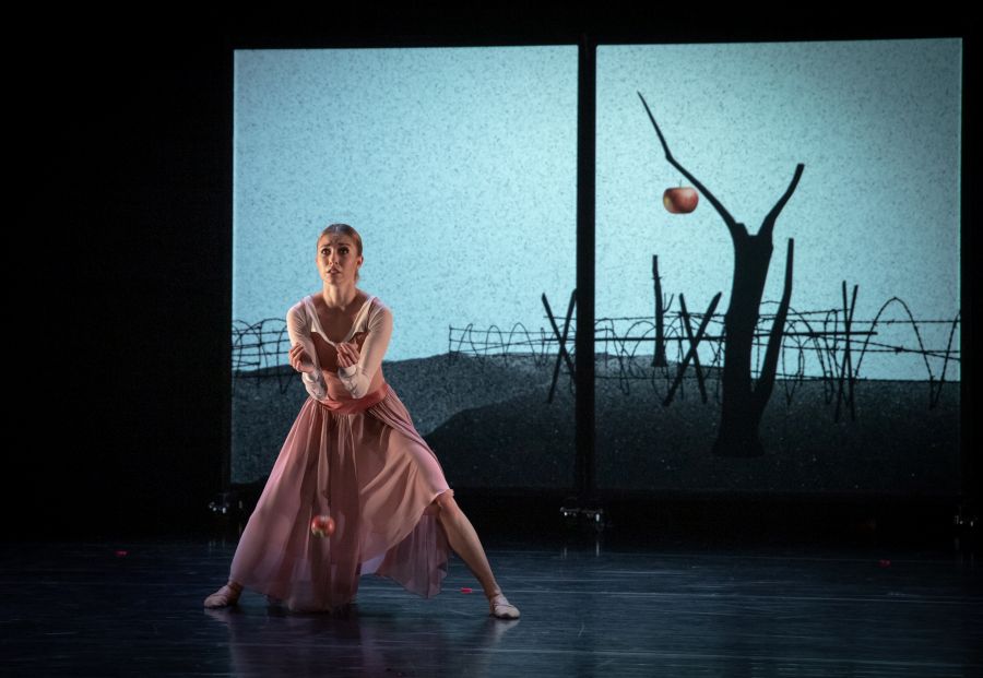 Fantomová bolest (foto archiv Royal Ballet Fehérvár)