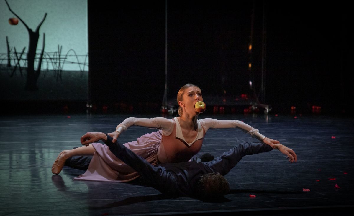 Fantomová bolest (foto archiv Royal Ballet Fehérvár)
