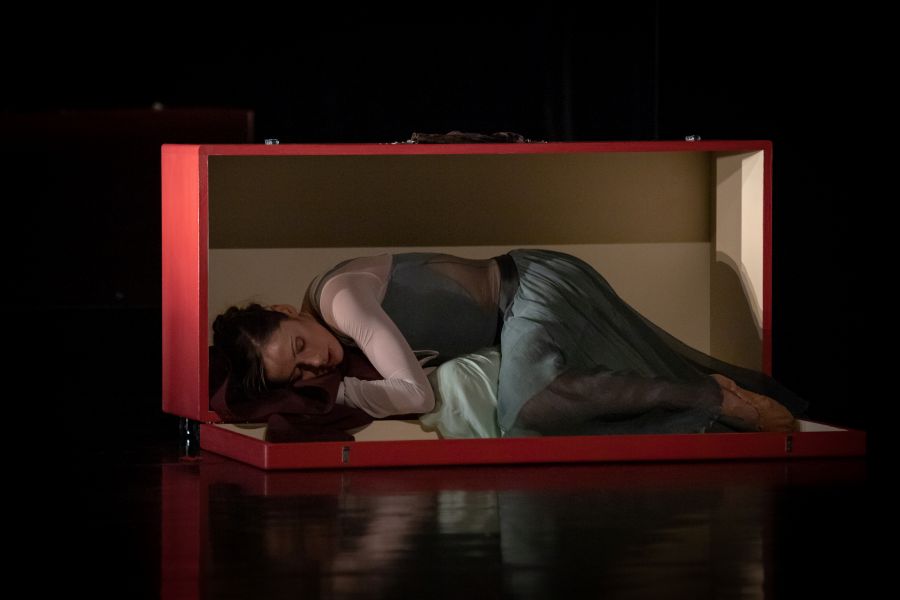 Fantomová bolest (foto archiv Royal Ballet Fehérvár)