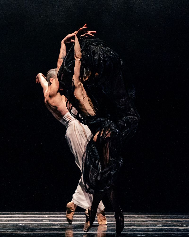 Fashion Ballet The Best of – Two (Olga Chelpanova a Adrián Szelle, foto Vitalii Zahynailo)
