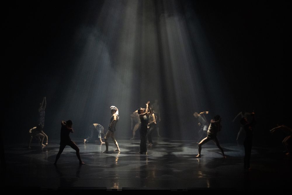 Korea National Contemporary Dance Company – Jungle (foto archiv souboru a Tanz im August)