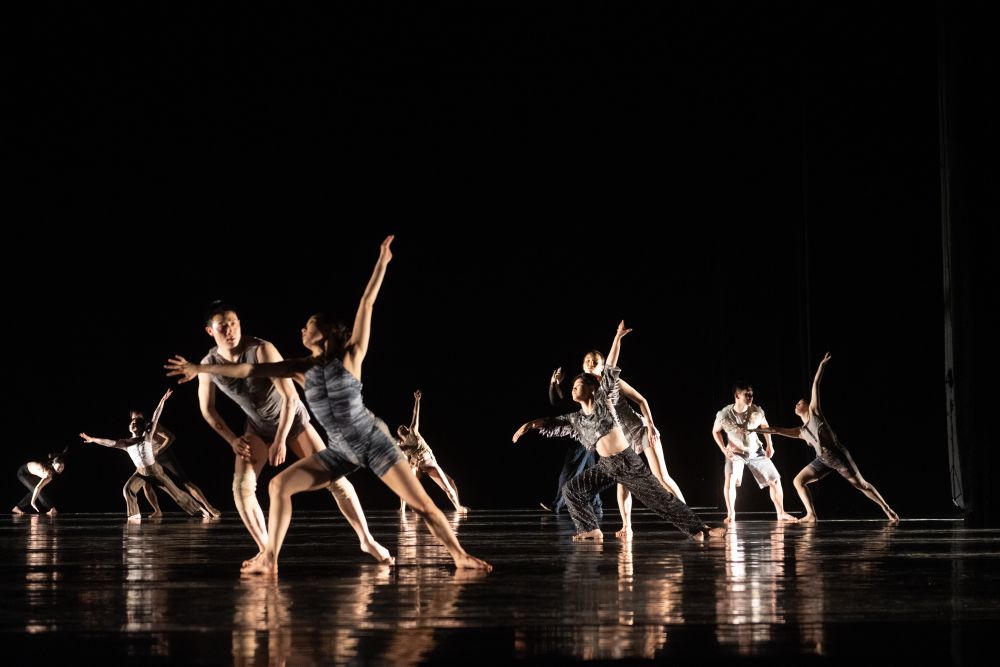 Korea National Contemporary Dance Company – Jungle (foto archiv souboru a Tanz im August)