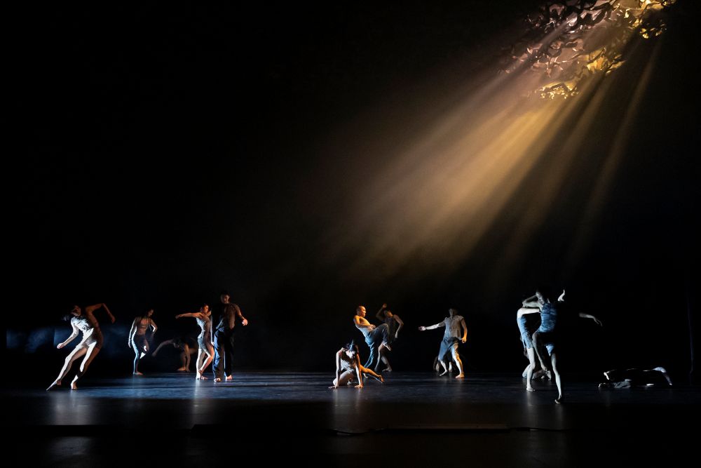 Korea National Contemporary Dance Company – Jungle (foto archiv souboru a Tanz im August)