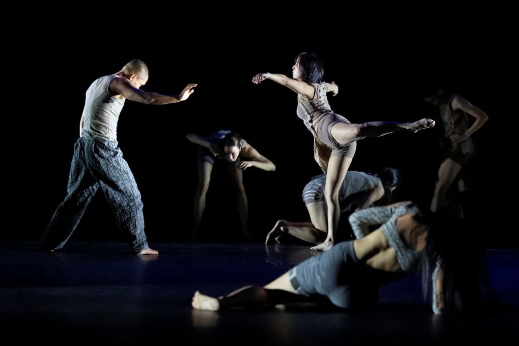Korea National Contemporary Dance Company – Jungle (foto archiv souboru a Tanz im August)