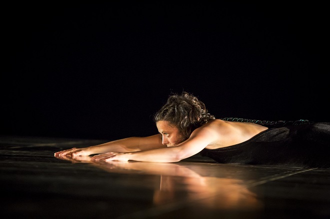 L. Vagnerová: Dark Horse – Fanny Barrouquère (foto Bengt Wanselius)