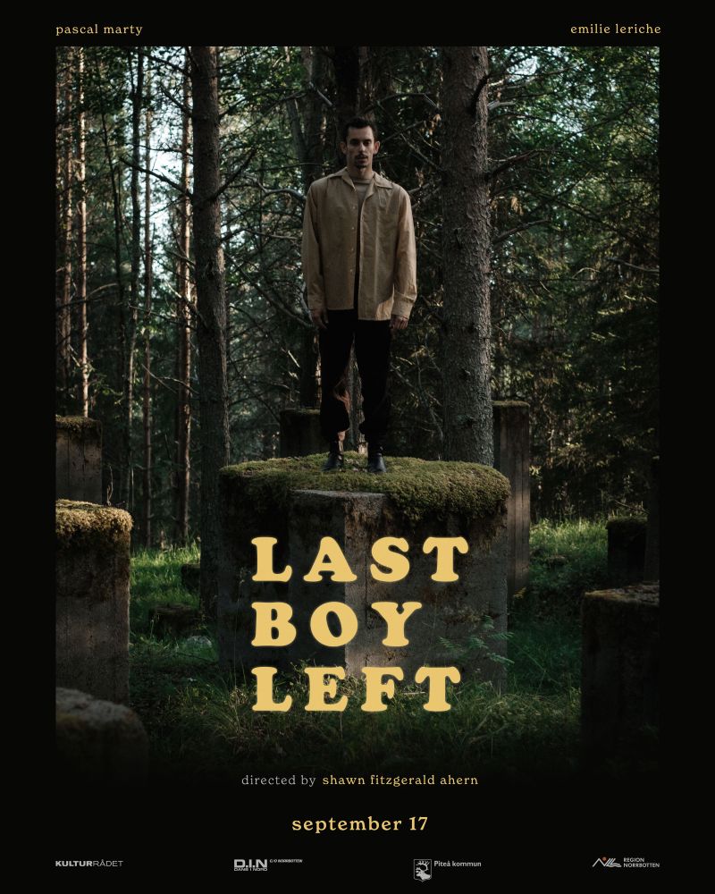 Last Boy Left (filmový plakát)