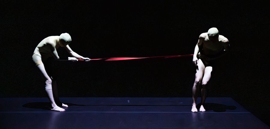 Pascal Marty: Like Deer in the Light (foto Tilo Stengel)