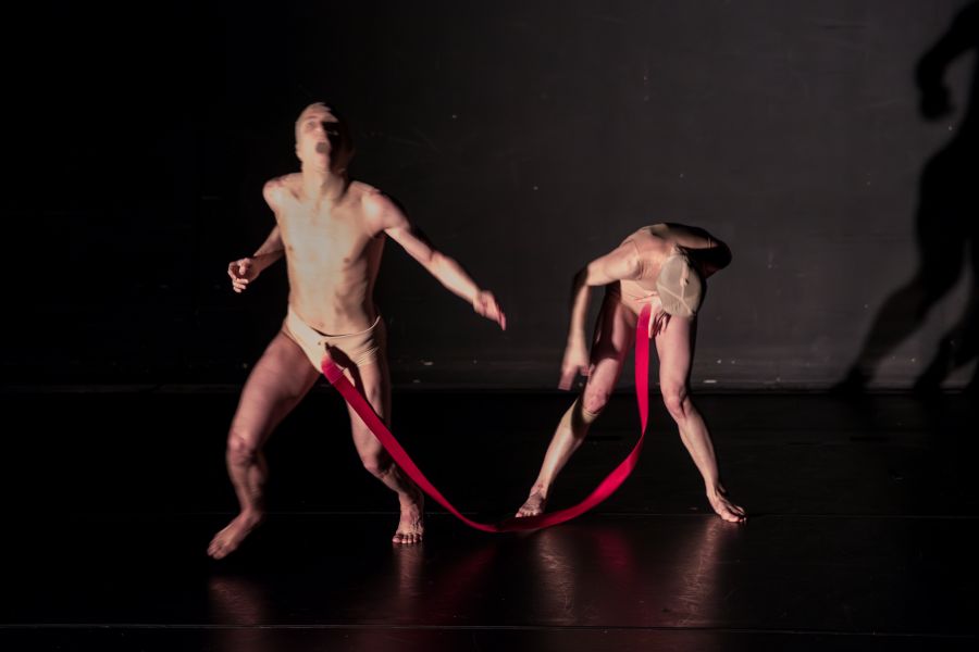 Pascal Marty: Like Deer in the Light (foto Tilo Stengel)