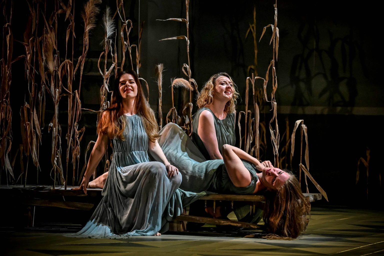 Antonín Dvořák: Rusalka, Národní divadlo Brno (foto Marek Olbrzymek)