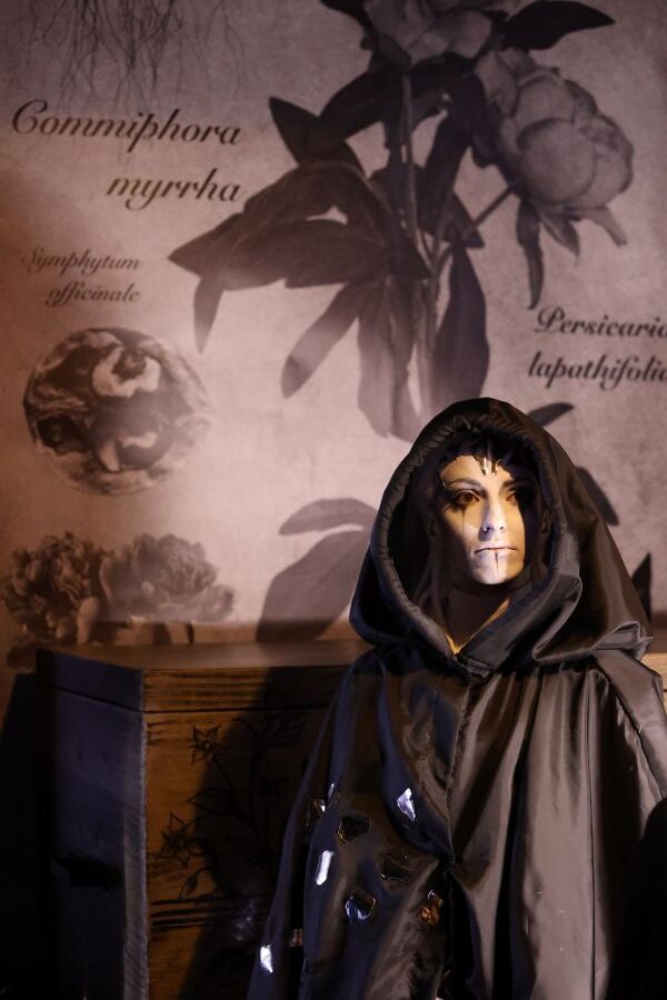 Vzpomínka na premiéru Sněhové královny v Liberci (Nuria Cazorla García, foto Kristýna Housková)