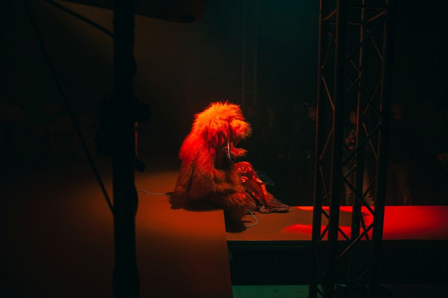 Y: Roaaarrrrr v Divadle X10 (Headbanger, foto Barbora Josefina Meijer)